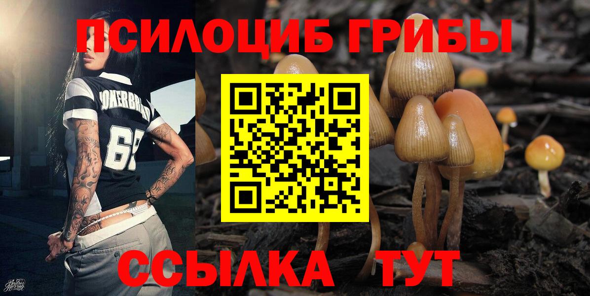 Галлюциногенные грибы GOLDEN TEACHER Электросталь