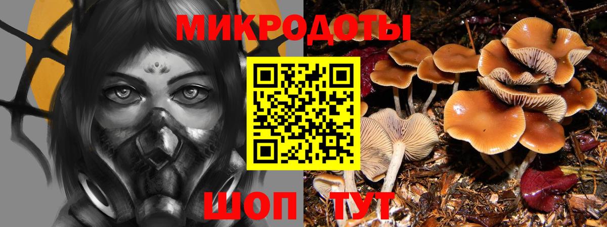 Галлюциногенные грибы Psilocybe  Вход с VPN  Электросталь 